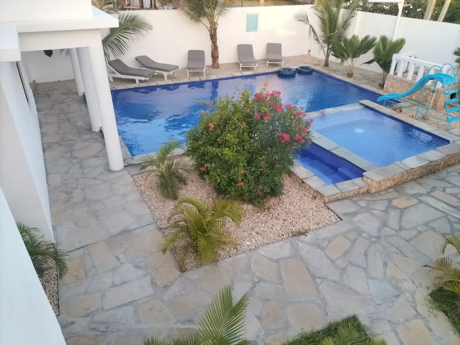 Arica Palm Hotel Gallery Image